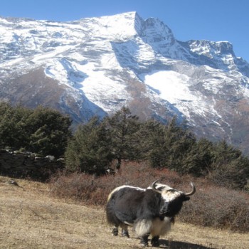 Everest Panorama Trek 2
